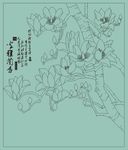玉兰