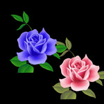矢量玫瑰花