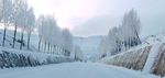 雪