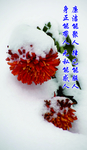 廉政文化