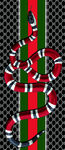 GUCCI 古驰 蛇