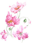 手绘花