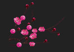 梅花