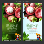 泰国山竹
