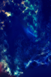 星云