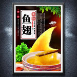 鱼翅