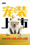 宠物