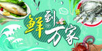 蛏子花蛤 食材海报 蛏子小吃