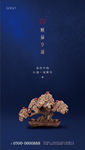 正月地产微信