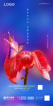 节气 花 蝴蝶 底纹