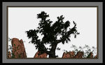 立体树装饰画