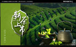 新茶上市