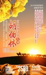 胡杨林海报