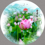 荷花