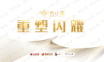 白金高端会议背景