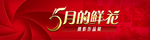 五月的鲜花摄影展