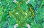 植物背景