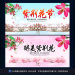 紫荆花