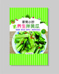 凉拌黄瓜