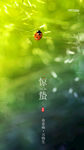 惊蛰海报 惊蛰 惊蛰节气 惊蛰