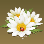 卡通矢量瓢虫菊花素材