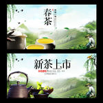 春茶