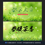 春茶上市