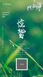 惊蛰