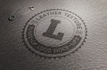 logo样机