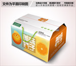 美味橘子包装箱设计时尚卡通