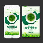 春茶