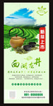 新茶上市 西湖龙井茶叶展架