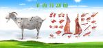 羊肉部位分割分解高清大图