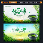 新茶