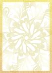 金秀花-防伪证书纹