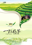 茶