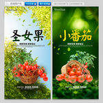 小番茄