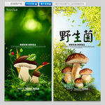 野生菌