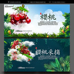 樱桃