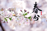 二十四节气春分