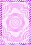 花粉粉 特约证书纹