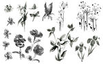国风日系水墨画手绘花草矢量素材