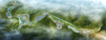 山体河道景观规划图