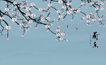 兰香玉兰花