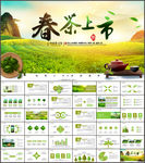 茶叶茶具茶文化茶道茶园PPT
