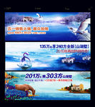 马 天鹅 景观 湖水 户外 车