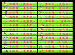 三字经