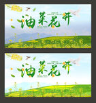 油菜花