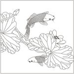 荷花鱼