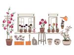 花卉花朵植物插画插图